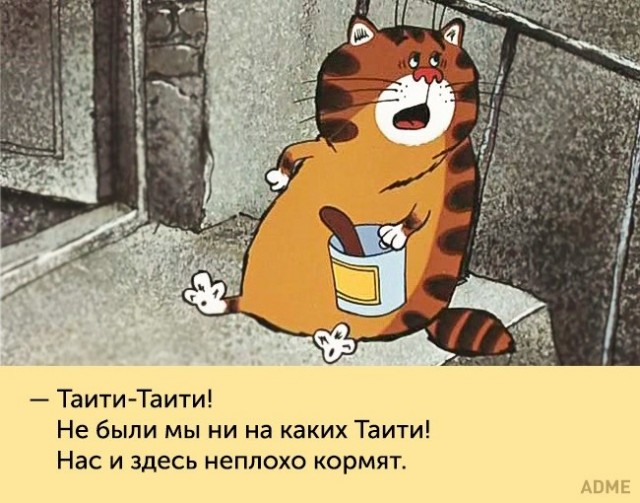 Барсик, пойдёшь гулять?