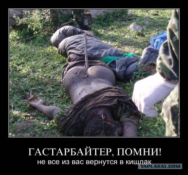 Блондинка с битой или Русская Зачистка - Питер