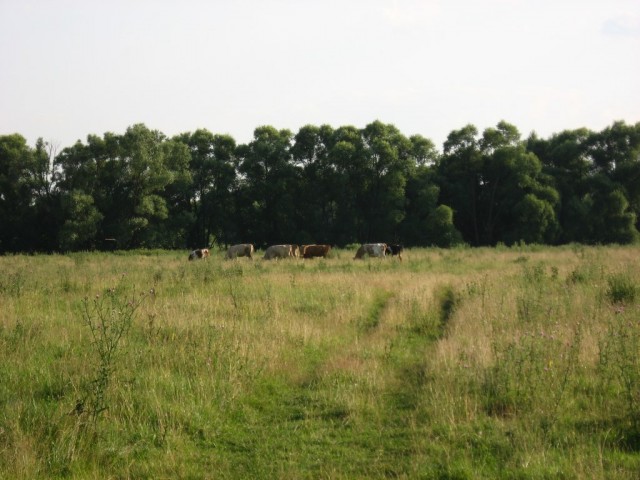 Поездка на Тамбовщину