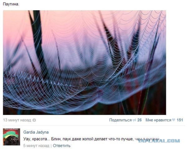 Работа сделанная через жопу....