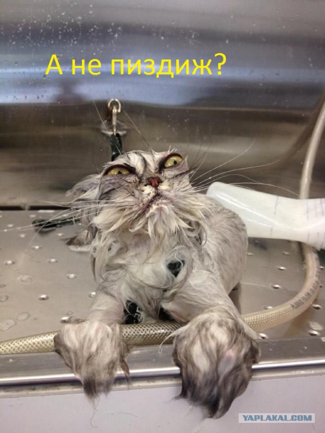 Зимовка в Камбодже: продолжение