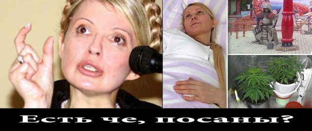 Тимошенко коксовый торчек