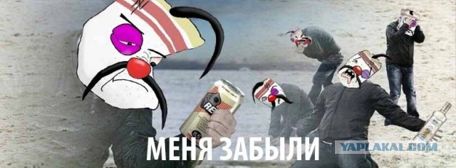 Плюшевый или ватный? Какой лучше?