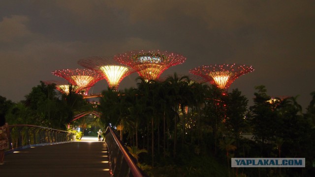 Сингапур. Гостиница "Марина Бэй"