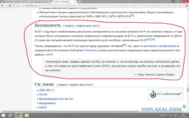 Куда пропали тараканы?