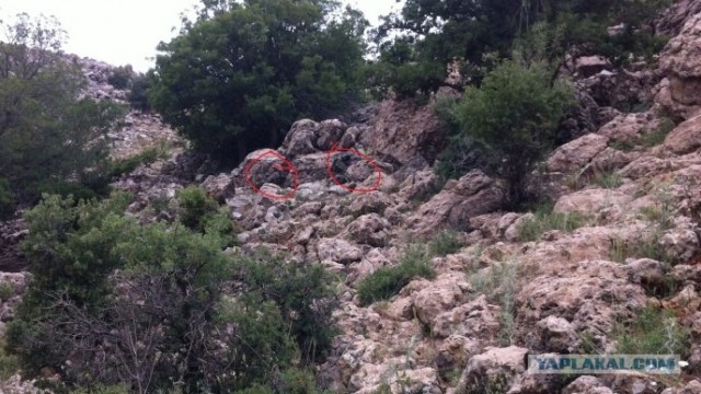 Сколько солдат на фотографии?