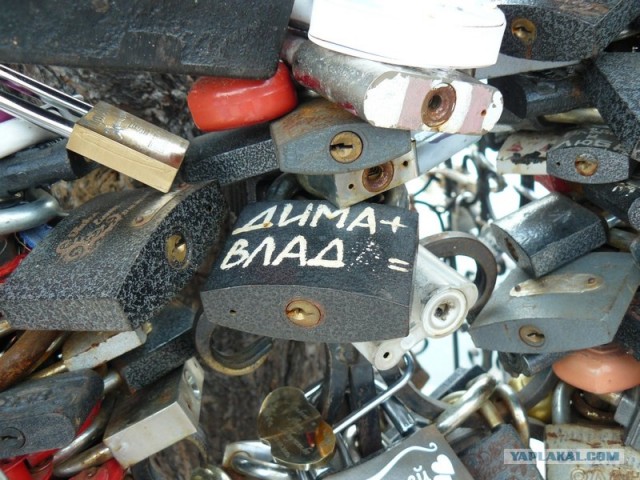 Совет да любовь