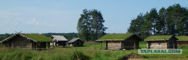 Славянская деревня Х века