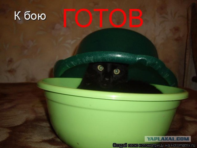 В погоне за ЮКой