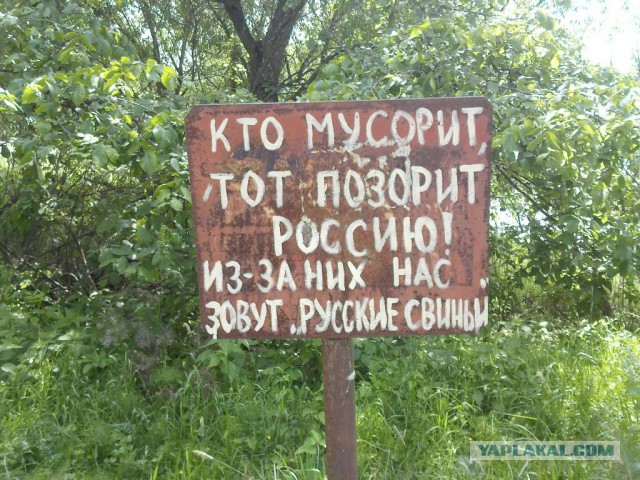 Мусорный ад райских уголков