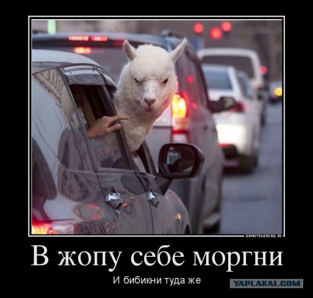 Немного демотиваторов