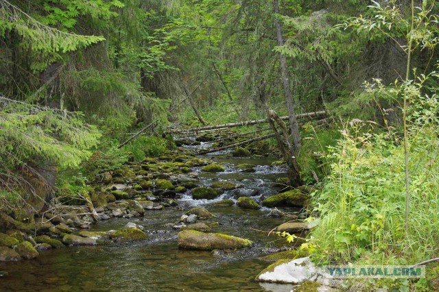 Прогулка.