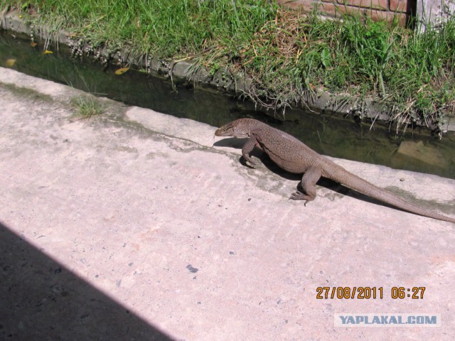 Что такое Бангладеш?