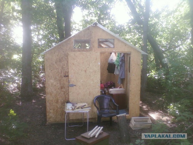 4 руки и 3 дня