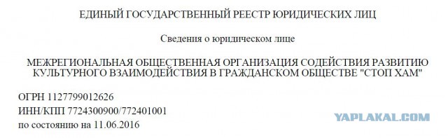 СтопХамСПб - Не езда 7