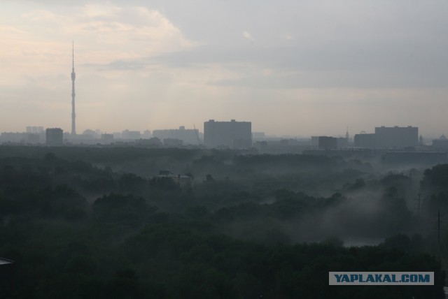 Квартиры в Москве, для кого?