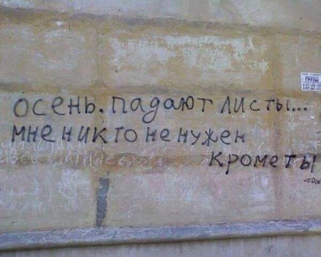 Картинки