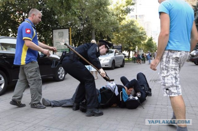 Не хотите ли на подвал? Донецк. Общение с представителем власти.
