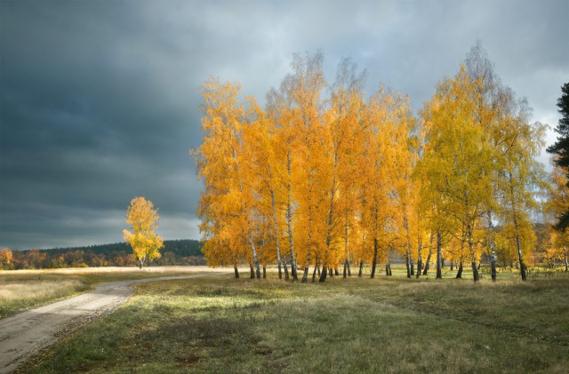 Винегрет фоток на пятницу...