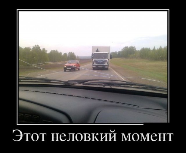 Порция картинок из сети