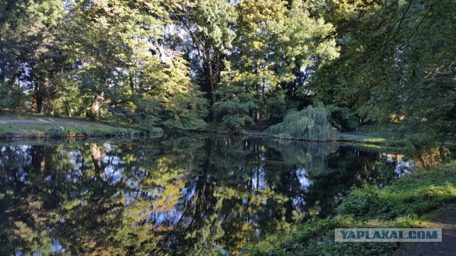 Бешеный закат Гарлема