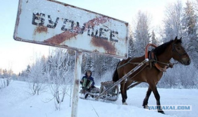 Кьелл Нордстрем: Через 50 лет вместо 218 стран будет 600 городов