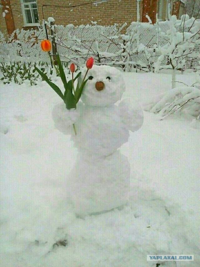 Апокалипсис в Кишиневе