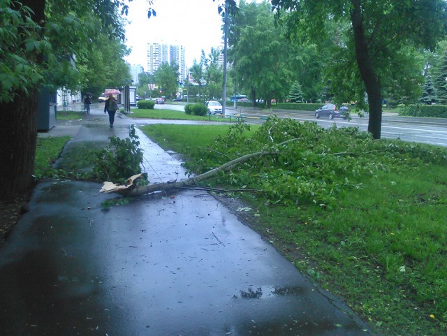 В Москве ураган!