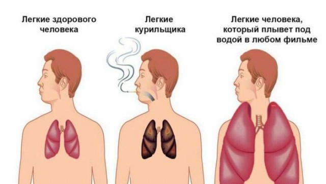 Порция воскресных картинок