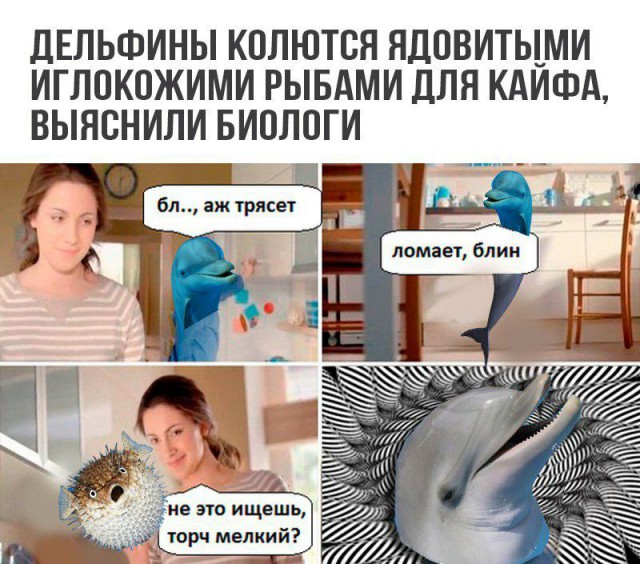 Деградировать подано, дамы и господа!