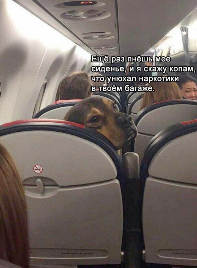 Всё как и всегда в точку...