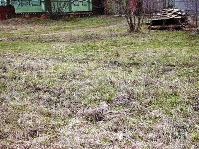 Подборка интересных и веселых картинок