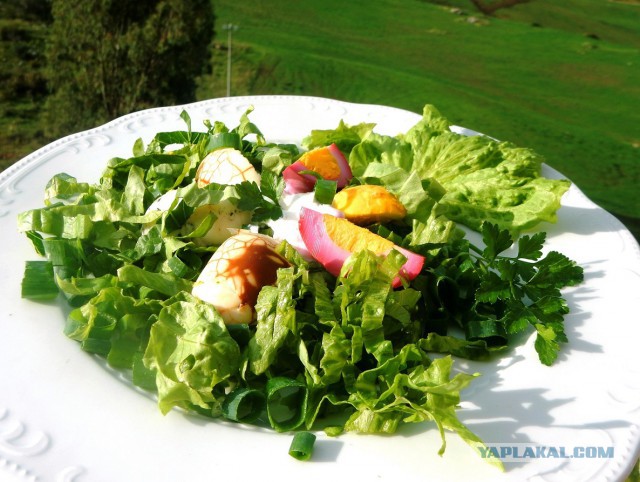 Яичный подкат