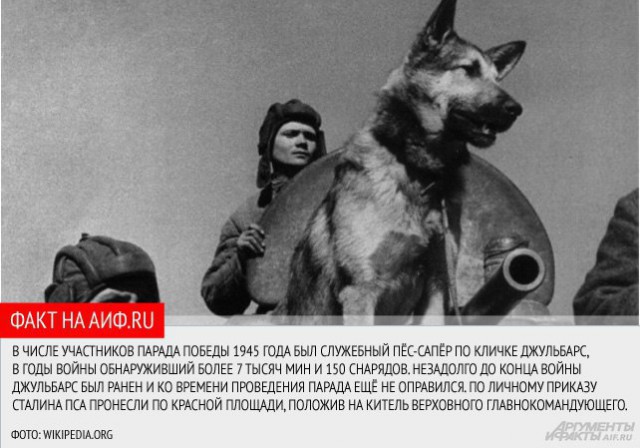 Непобедимая страна: 50 интересных фактов о Советском Союзе