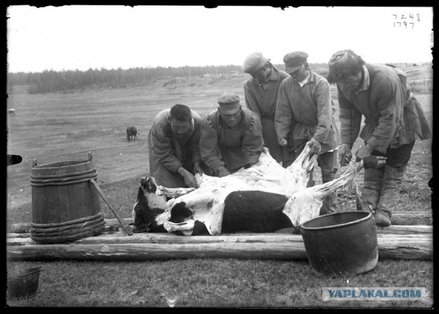 Наследие Тартарии (много букв)