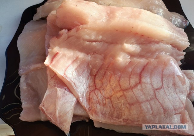 ЯПКулинарии 12 лет