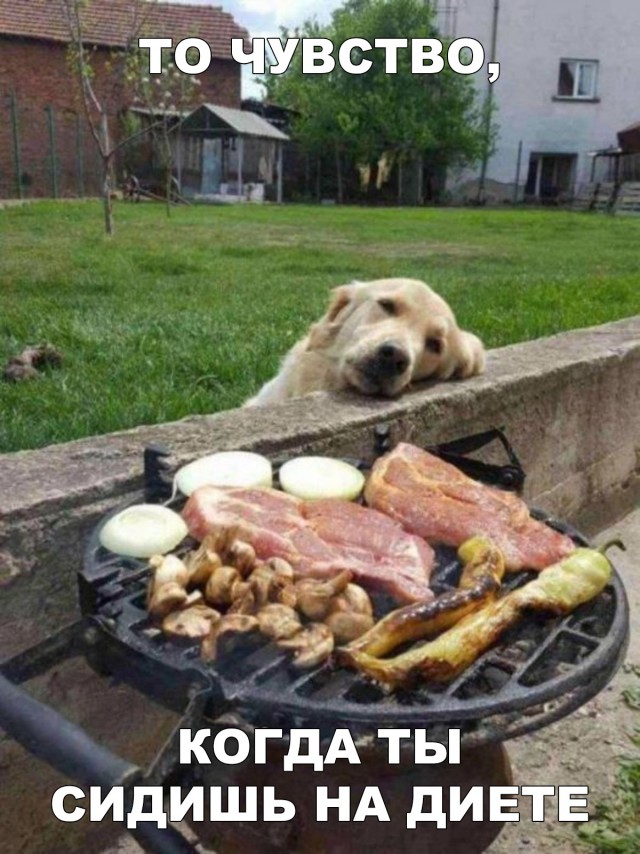 Подборка прикольных фоток