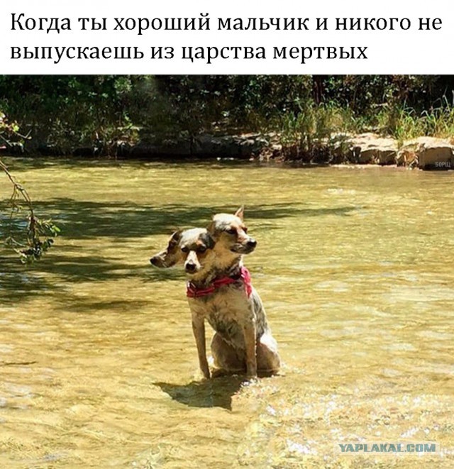 Разные картинки из интернета