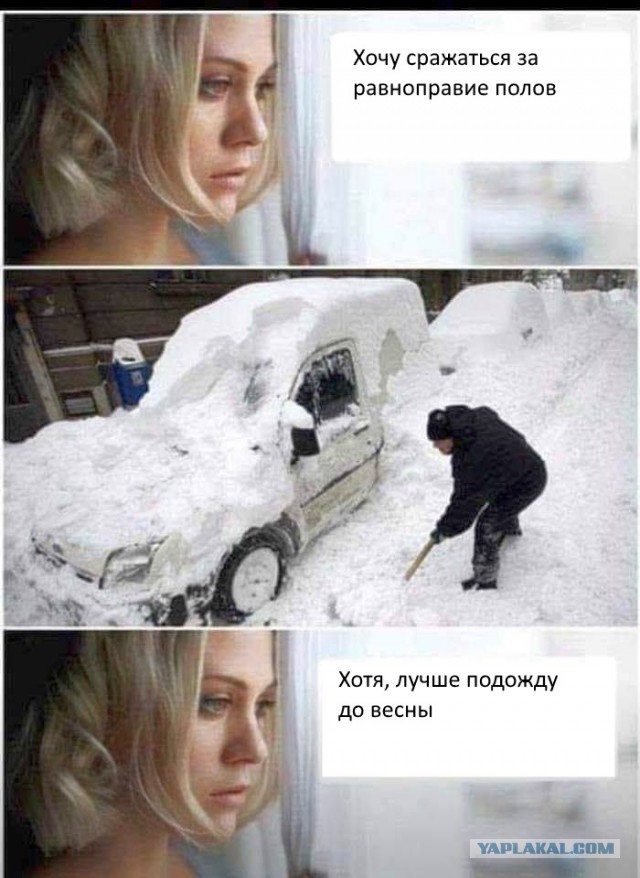 Нравы современного шкурья в виду отсутствия шаров у мужчин