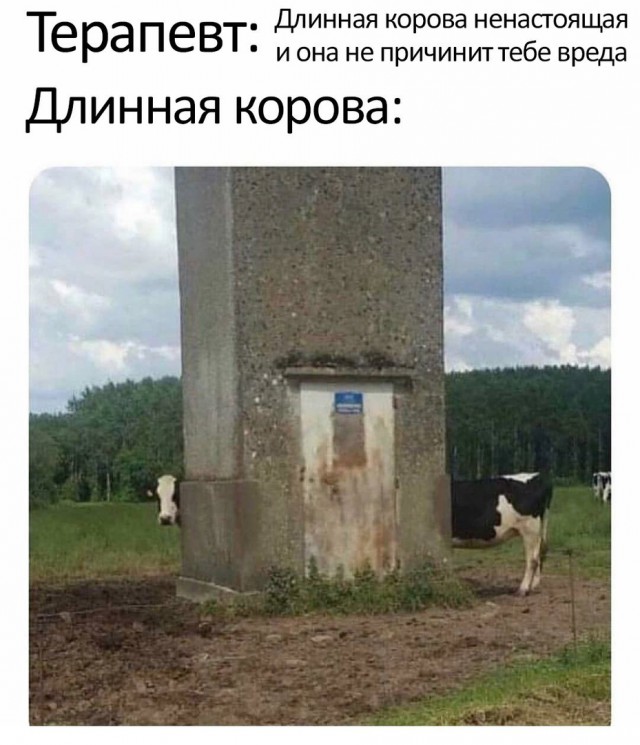 Нас накрывает мощная доза