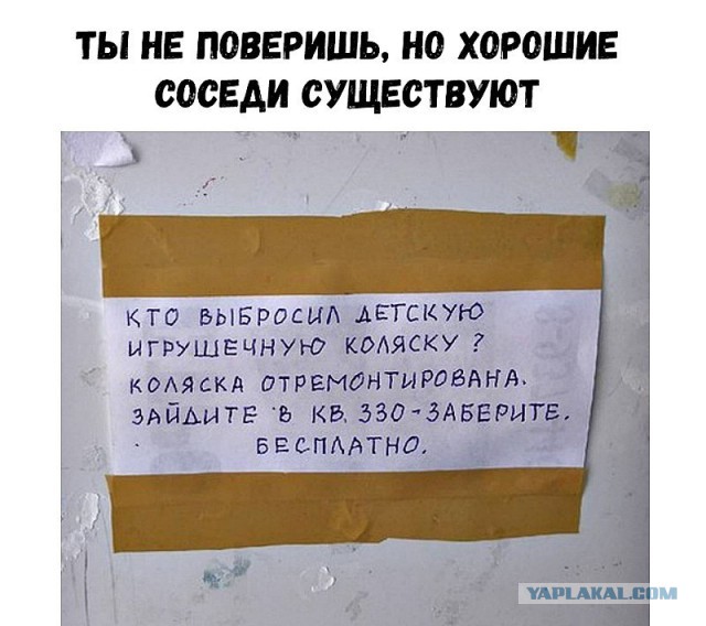 Анекдоты, соц-сети и картинки с надписями