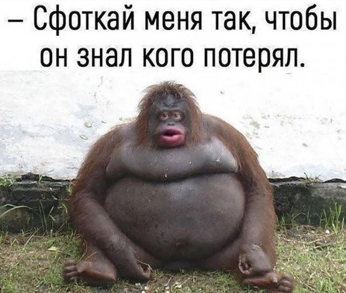 Майские шашлыки закончились. И началась чернуха!