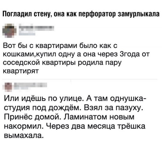 Картинки с надписями, истории и анекдоты
