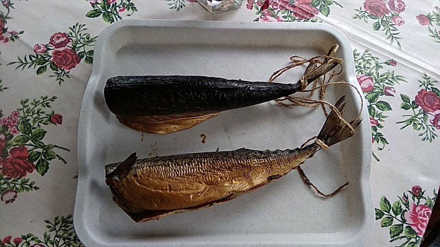 ЯП вокруг света. Германия, Австралия, Китай...