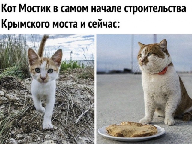 Немного картинок для настроения