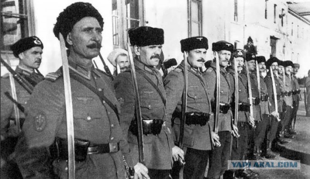 За что так не любят казаков?