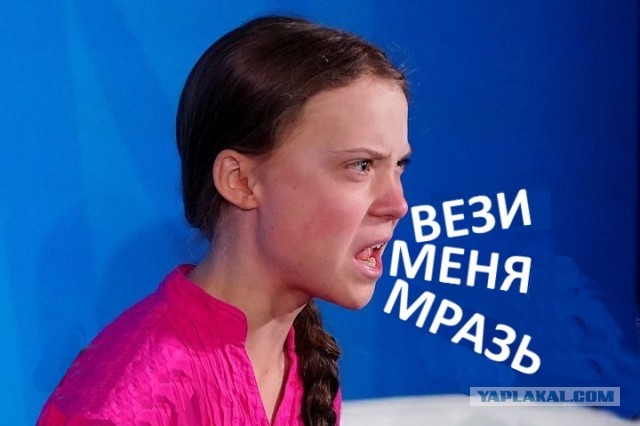Немного смешных картинок