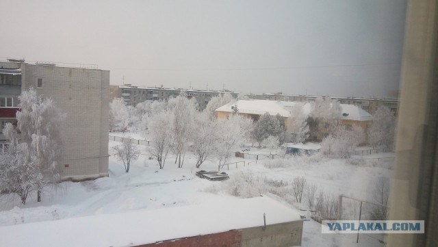 А у Вас какой вид из окна?
