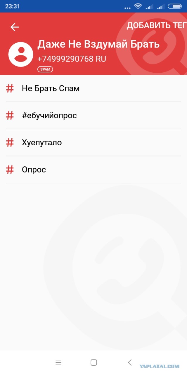 Кремль отказался верить, что половина россиян не хотят обнуления сроков Путина