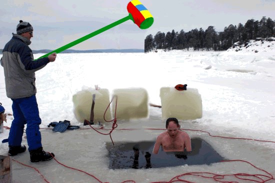 На живца